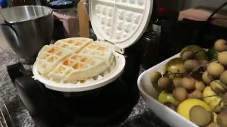 oster duraceramic 4 slice waffle maker