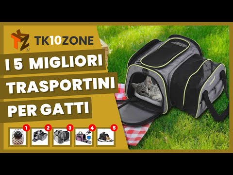 Video: Le 10 Migliori Condizioni Mediche Per I Gatti