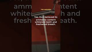 Learn Ancient Roman Hygiene | Daily Facts