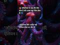 "क्या आपको पता था? 🐙 ऑक्टोपस के पास होते हैं 3 दिल!" #shorts #viral