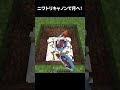 ニワトリキャノンで月へ #shorts #マインクラフト #マイクラ
