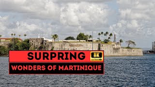 Unveiling Martinique's Unique Beauty