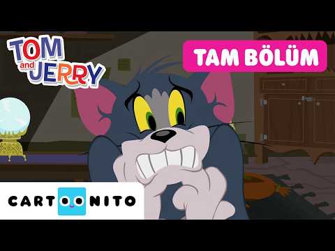 1 Saatlik Kahkaha | TOM VE JERRY | TAM BÖLÜM | @CartoonitoTurkiye