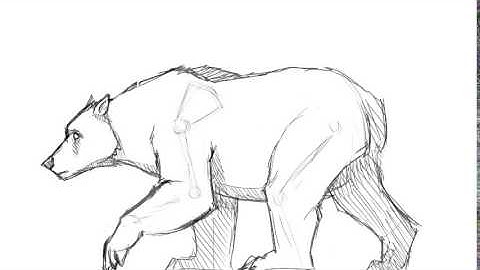 Animal Walk Cycle - Polar Bear