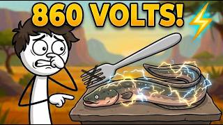Why Nobody Eats Electric Eels (The Shocking Truth)