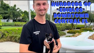 Central Florida Garden Tour- Full of Rare Tropicals in the City of Lakeland!