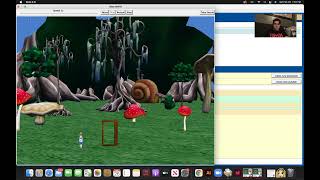 Programming in Alice - Shrinking Alice