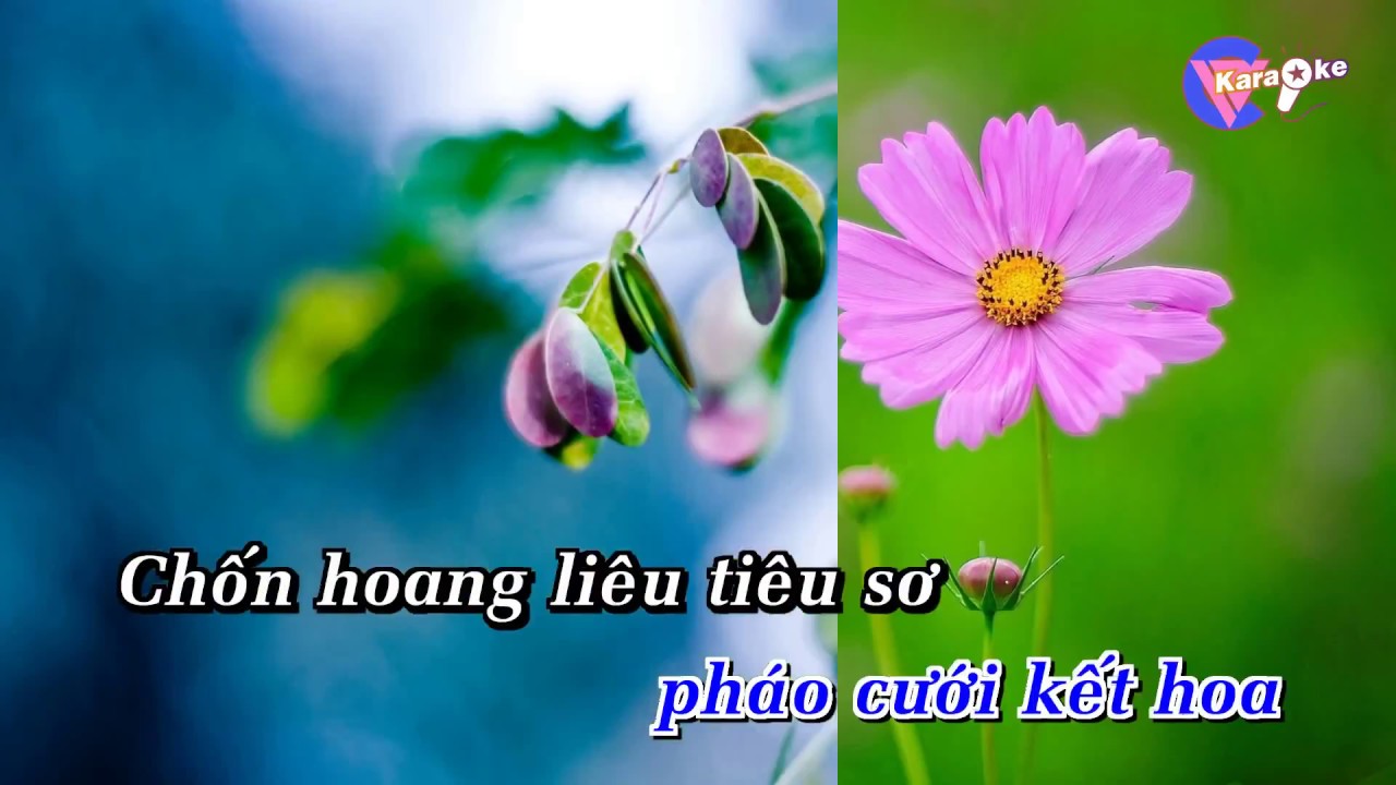 han mac tu KARAOKE HD