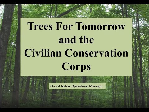 Trees For Tomorrow and the Civilian Conservation Corps