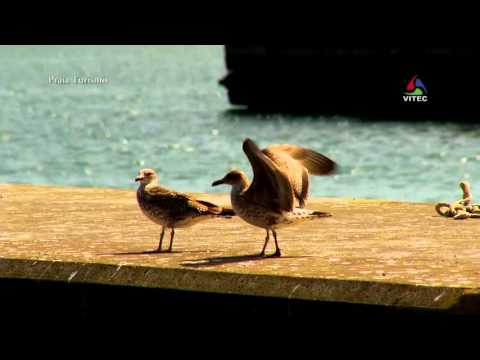 Praia da Vitória - Deixa-te Seduzir