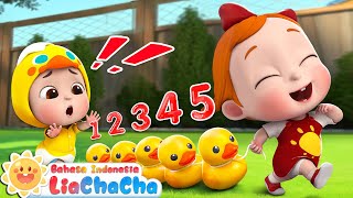 Lima Bebek Kecil | Lagu Menghitung Bebek 🛝| LiaChaCha ☀️| Lagu Anak | LiaChaCha Bahasa Indonesia