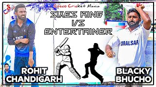 Rohit Chandigarh Vs Blacky Bhucho Cosco Cricket Mania