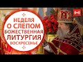 БОЖЕСТВЕННАЯ ЛИТУРГИЯ. Трансляция. 6 июня (воскресенье) в 9:00