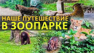 Мы сейчас находимся в зоопарке, здесь очень интересно