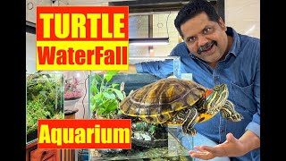 How to build  WaterFall Turtle Aquarium: The complete guide | Mayur Dev Aquascaper | Turtle Tank 4K