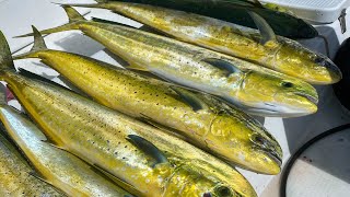 Mahi Mayhem Guam Fishing Expeditions