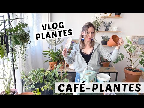 Vidéo: Comment Les Plantes Réagissent-elles à Une Attaque? - Vue Alternative