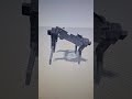 Modeling and development of a simulator for a quadruped robot-6