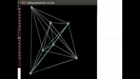 Dynamics of a Spiking Neural Network Model