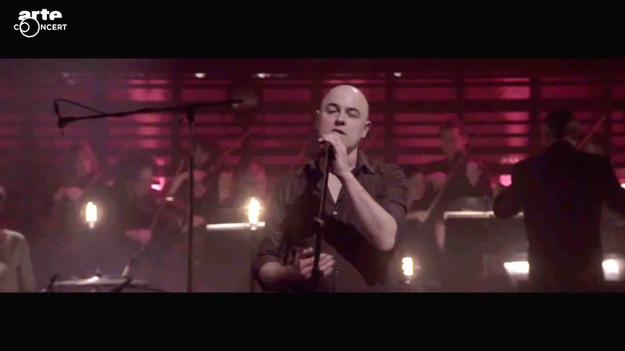 Dominique A Concert Radio France Live