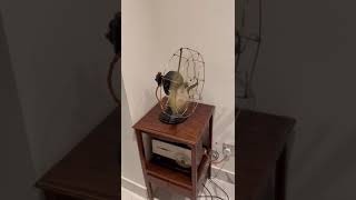 Veritys Orbital Vintage Antique British 220V Electric Fan - Rewired and partially restored.