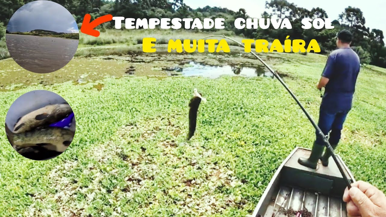 SAPO ZILA: A ISCA QUE NÃO FALHOU NA TEMPESTADE! (Muita Traíra)