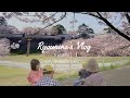 Hanami | Picnic Under The Cherry Blossoms