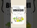Unveiling Bokashi Food Waste Systems: Avoiding Greenwashing and Embracing Authentic Sustainability