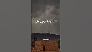 ومن أعرض عن ذكري فإن له معيشة ضنكا - سورة طه | القارئ الشيخ محمد أيوب رحمه الله