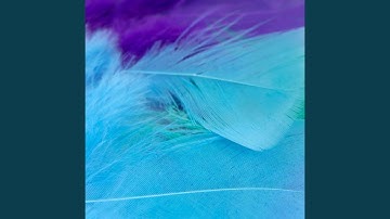 Pulsating Moods for Loafing Evening