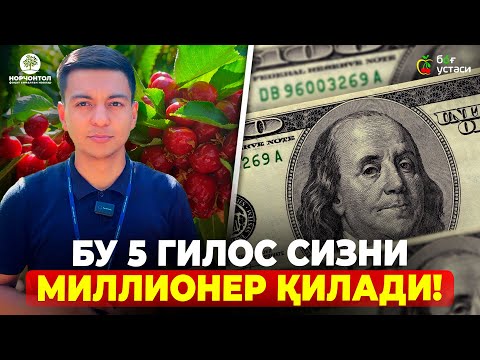 Nimaga bu sirli giloslarni ekishimizni istashmayapti?