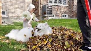 Cleaning My Backyard Has Never Been So Difficult