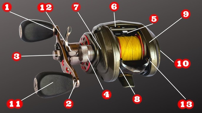 How to PROPERLY Lubricate Your Baitcasting Reel (Basic) 