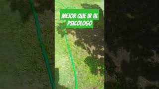 Ir al psicologo??? #viralvideo #viral #viralshorts #video #fyp #fypシ #diy