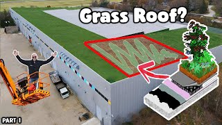 Massive Green Roof Makeover? - Part 1