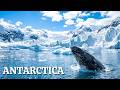 ANTARCTICA: Secret Survival at -89°C in the Coldest Place on Earth | 4K Travel Video
