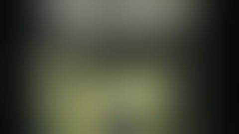 The Raid: Redemption Action Scenes