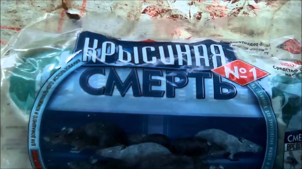 СРЕДСТВО ОТ КРЫС. 🐭🐭🐭 Как избавиться от крыс и мышей. Крысиная Смерть Отзыв