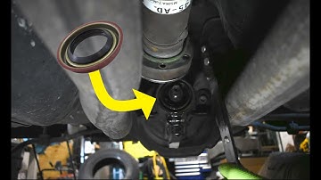 What a DIFF-erence - Ford 8.8 Differential Pinion Seal Replacement