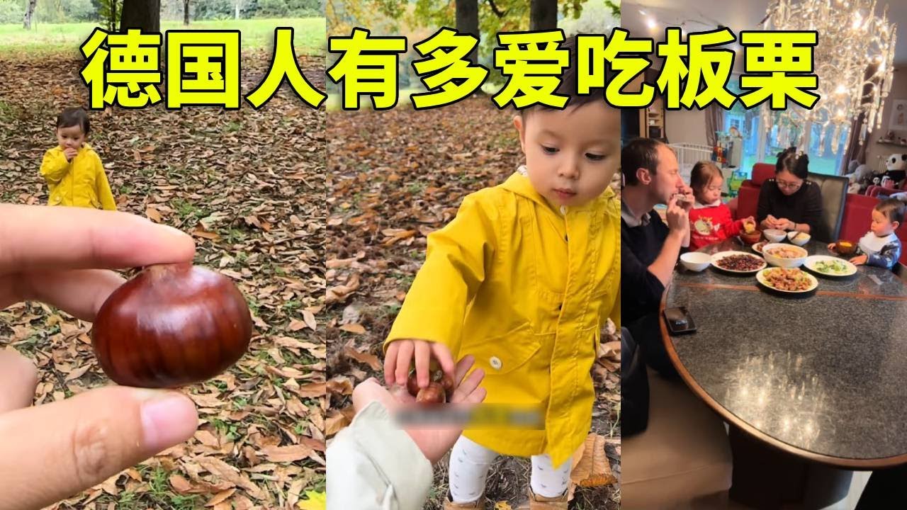 满地都是板栗，德国的秋日限定甜蜜。#在拍一种很新的vlog #捡板栗