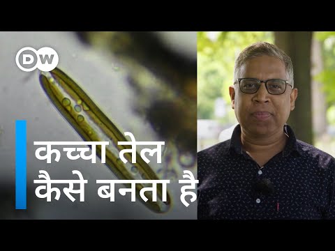 जमीन में कैसे तैयार होता है काला सोना [Where does crude oil come from?]