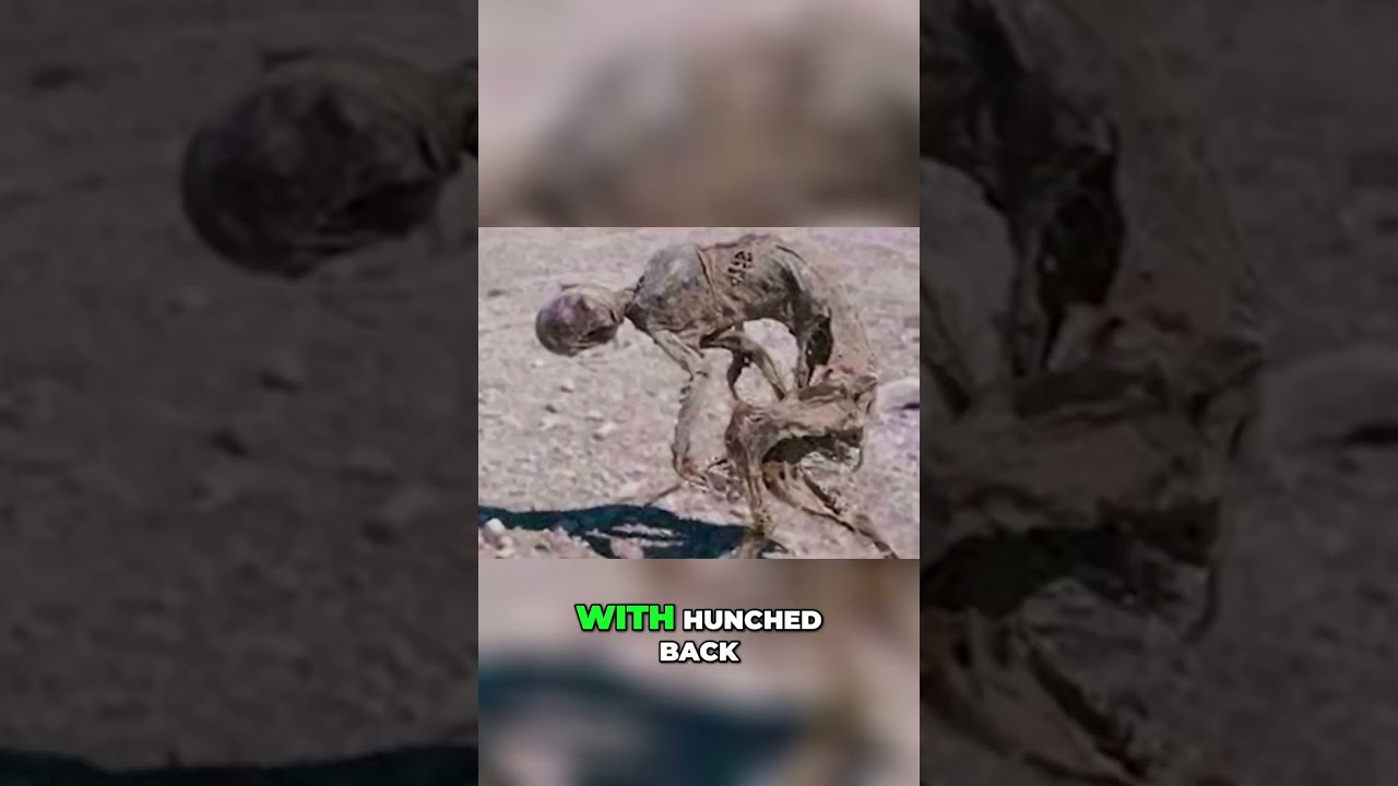 Is this Giant Humanoid Creature in Portugal an Alien or a Sand Zombie? Find Out Now!