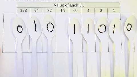 Binary Shift Practice 8 Bits, Right Shift 1