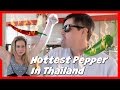 HOTTEST PEPPER IN THAILAND CHALLENGE - Top Husband Vs Wife Challenges