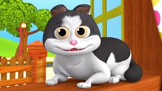 Meow Meow Meri Billi Kali Peeli 🐱 | Cat Rhyme in Hindi | Hindi Balgeet | NooNoo Kids