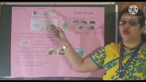 11/11/20 STD 2 EVS Chapter 11 It