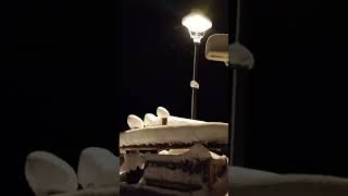 Ollomont III. Aosta valley-Italy 17/02/26 #aostavalley #alps #mountain #village #snow #snowfall