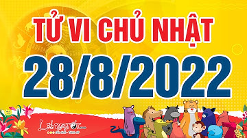 Xem tử vi hàng ngày - Tử vi Chủ Nhật ngày 28 tháng 8 năm 2022 của 12 con giáp AI ĐỔI VẬN PHÁT TÀI
