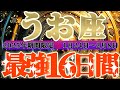 最強16日間【魚座♓️】これをやれば絶対に最強の運勢になるよ!! 逆にこれをやったら最悪になっちゃう事もリーディングするよ!!【初天一天上】神々のシナリオシリーズ #タロット占い