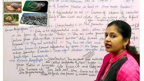 DIVERSITY IN LIVING ORGANISM  || CLASS- 9 || CHAPTER- 7 PART- 2 ©